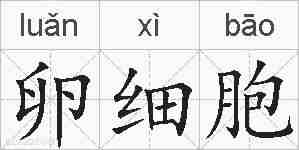 卵细胞的拼音