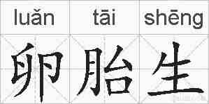 卵胎生的拼音