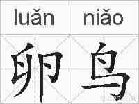 卵鸟的拼音