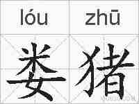娄猪的拼音