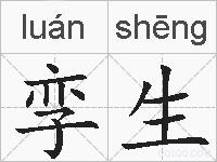 孪生的拼音