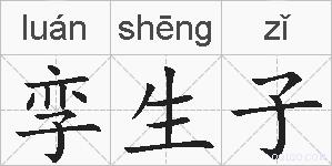孪生子的拼音