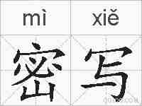 密写的拼音