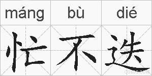 忙不迭的拼音