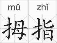 拇指的拼音