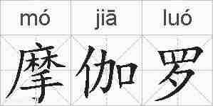 摩伽罗的拼音