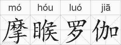 摩睺罗伽的拼音
