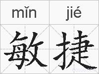 敏捷的拼音