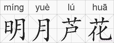 明月芦花的拼音