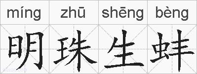 明珠生蚌的拼音