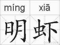 明虾的拼音