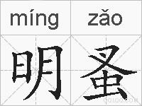 明蚤的拼音