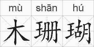 木珊瑚的拼音