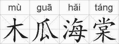 木瓜海棠的拼音