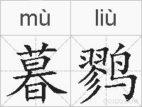 暮鹨的拼音