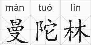 曼陀林的拼音