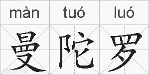 曼陀罗的拼音