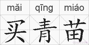 买青苗的拼音