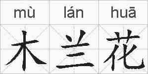 木兰花的拼音