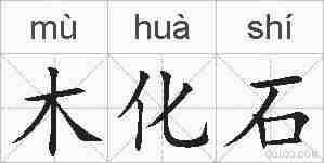 木化石的拼音