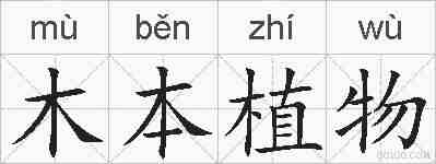木本植物的拼音
