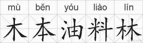 木本油料林的拼音