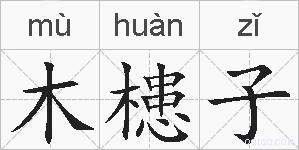 木槵子的拼音