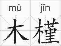 木槿的拼音
