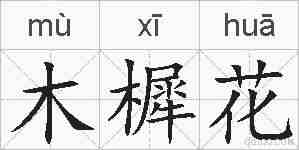木樨花的拼音