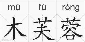 木芙蓉的拼音
