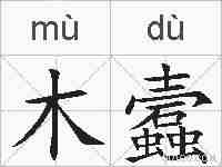 木蠧的拼音