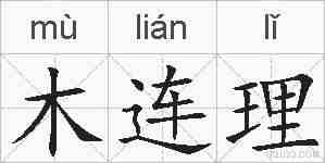 木连理的拼音