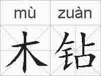 木钻的拼音