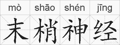 末梢神经的拼音