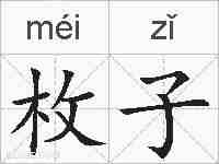枚子的拼音
