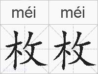 枚枚的拼音