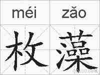枚藻的拼音