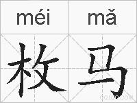 枚马的拼音