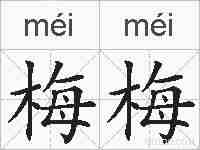 梅梅的拼音