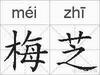 梅芝的拼音