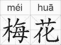 梅花的拼音