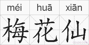 梅花仙的拼音