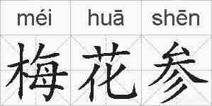 梅花参的拼音