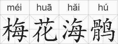梅花海鹘的拼音
