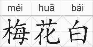 梅花白的拼音