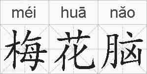 梅花脑的拼音