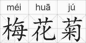 梅花菊的拼音