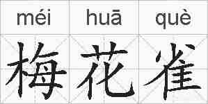 梅花雀的拼音