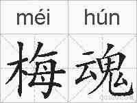 梅魂的拼音