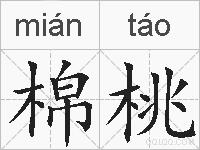 棉桃的拼音